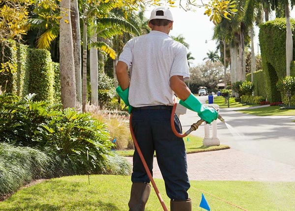 About Athol ID Pest Control Pros